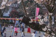 自粛できない人「公園なら3密じゃないし、外に出て過ごしていいよね！」 → 今や東京と神奈川のどこの公園も家族連れなどであふれかえり、とんでもない事態に