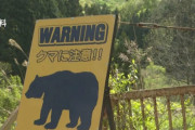 【福島】帰宅すると台所に丸まったクマが…一晩居座り朝捕獲　喜多方市の住宅