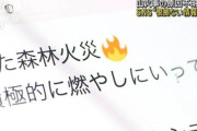 愛媛県山火事「レーザー兵器システムによるもの」「スマートシティ計画にのっとった意図的な人災」