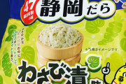 静岡県『おめーらの生きてるうちはリニアは絶対に開通させねぇらよザマミロさぁー』 |  静岡県民はこれどう考えてんだ?