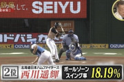 【球辞苑】日ハム西川、2010～2019年ボールゾーンスイング率ランキング2位