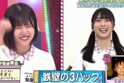 ひな会いスタッフのテロップセンスが流石すぎるｗｗｗ※gifあり【日向坂46】