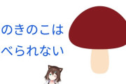 【にじさんじ】野良猫、きのこは生で食べてはいけないことを教えてくれる配信