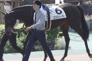 【競馬予想】第37回フラワーカップ(GIII) /2023