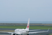 日本航空（ＪＡＬ）が全日空（ＡＮＡ）に負けた理由