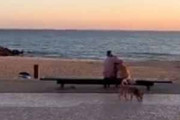 【イヌ】 夕方の海辺を散歩していた。ベンチに老人と犬が座っていた → そこには幸せな風景がありました…