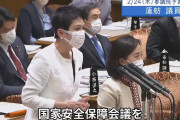 【国会】立憲･蓮舫「国家安全保障会議を今すぐ開くべきではないか。私たちは柔軟な対応をします。」