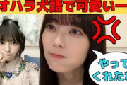 【岩本蓮加】冨里奈央のナオハラ発動で「犬語で可愛い一言」/文字起こし（乃木坂46・のぎおび）