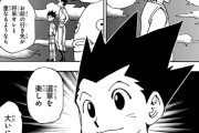 【漫画】ジン「ゴン、俺に会いたいなら捕まえてみろ！」ゴン「うん！だって俺は『ハンターハンター』だから！」