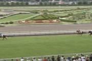 【競馬】アピールバイオ強すぎワロタwwwww