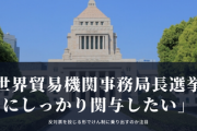 【速報】日本政府「しっかり関与していく」韓国に反対票を投じる形でぶっ潰しに行く模様www