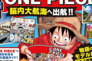 「ONE PIECE」×旅行情報誌「るるぶ」物語の舞台に似たスポットを紹介！大航海気分を味わえる初コラボムック