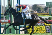 【2歳新馬】キタサンブラック産駒トリプルコーク強すぎワロタｗｗｗ