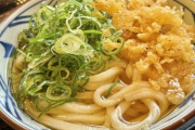 うどんに最も合うトッピング