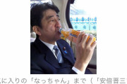 安倍晋三さんの裏政治資金記録が発覚。ガリガリ君（コーンポタージュ）なっちゃん（オレンジ）… |  必死でゴミサヨクがアラ探ししてこれwww