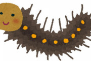 【画像あり】サボテンみたいな毛虫いたｗｗｗｗｗｗｗｗ