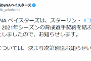 ベイスターズ、スターリンと育成契約！