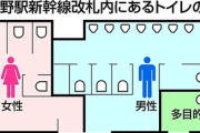女性『なぜ女子トイレには行列ができるの？』→ 全国1092カ所を調べた結果…