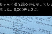 【悲報】警察｢押しボタン式の信号機のある歩道で車道が青信号なのに止まらなかったから罰金なｗ｣