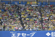 阪神ファンが客席でゴミ拾い「素晴らしい行為」応援マナー物議の一方で話題に