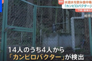 【悲報】日本の水道水から食中毒発生