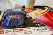 【辛さ吹き飛ぶ】ワイド底辺、マックで週に1度の贅沢?ｗｗｗｗｗ