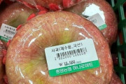 韓国「リンゴ1個の値段が1200円なんだけどお前らの国は？」