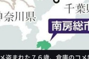 【画像】76歳おじいちゃん「倉庫の米盗まれた…」米問屋さん「米大量に入荷しました♪」→