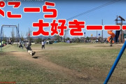 【悲報】底辺バチャ豚YouTuberさん、公園でキチゲ発散してしまう…