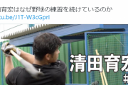 【悲報】清田育宏さん、生存確認とNPBへの復帰の意思を見せるも全く話題にならない
