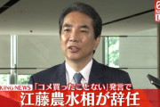 江藤農水相、世界一しょうもない理由で辞任へｗｗｗｗｗ
