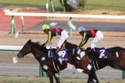 【競馬】　三大胡散臭い競馬理論　右回り左回り巧者、夏馬冬馬　あと１つは？