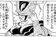 ドラゴンボールのセルって理論上スーパーサイヤ人にもなれるんじゃないのか？？？？