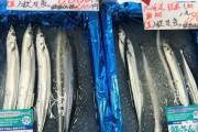 【悲報】秋刀魚、一尾6600円ｗｗｗｗｗｗｗｗｗ