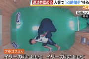 【国賠訴訟】ペルー人「入管に拷問された」ついに判決　外国人タレントがご意見「で、収容された理由と強く制止せざる得なかった理由は？」