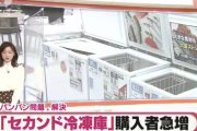 【画像】「セカンド冷凍庫」ガチで流行り始める