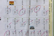 【画像】小学生「よっしゃ！漢字テスト満点の自信ある！」先生「ﾁｯ、ガキが調子乗るなよ…」