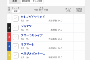 【朗報】セトノダイヤモンド、8月4日に園田でデビュー戦