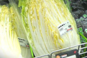 白菜が1080円!?値段上がり続ける野菜「我慢しようかな…」 店側も工夫凝らす中“3月も平年より高い状態続く”見通し 新潟