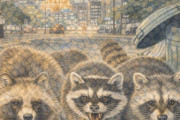東京２３区でもタヌキの他にアライグマやハクビシンが結構目撃されている模様