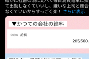【朗報】個人Vtuber「Vtuberは楽って言われてるけど確かに会社員の頃の7倍近く稼げてますw」