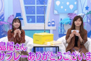 【日向坂46】おひさま『鳩サブレ』のサイトを落としてしまうｗｗｗｗｗｗ