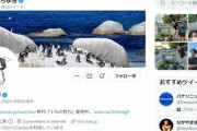 【悲報】Twitterトレンドに”ひろゆき離れ”。気づき始めた人々「ただの性格悪いおっさん」「所詮揚げ足取り」