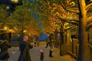 【FF14】ライトアップされた銀杏が美しい！ハウジングエリアに作られた街並みの雰囲気を楽しめる「ゼロムス並木道」が話題に！【画像有】