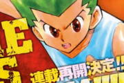 超大物漫画家さん「『ハンターハンター』冨樫義博さんは許されていいなぁ…自分なんか2週休んだだけでボロカスなのに（泣）」