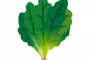 ほうれん草って実はあんまり栄養ないよね　
