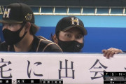 【悲報】日ハム伊藤、ガチでかわいそう