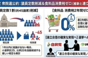 【勝確】暫定的な自民公約が判明「衆院議員定数１割削減明記」「食料品の消費税ゼロ」１年以内に結論が出ない場合は小選25、比例20の削減が自動確定する規定も