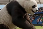 中国人「初めて日本でサッカー観戦して感じた中国との差」　中国人「尊敬に値する」「肌が黄色いこと以外は全部差がある」