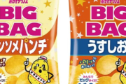 【悲報】カルビー「ポテトチップス」など17品目値上げへ　値上げ幅は最大30%程度